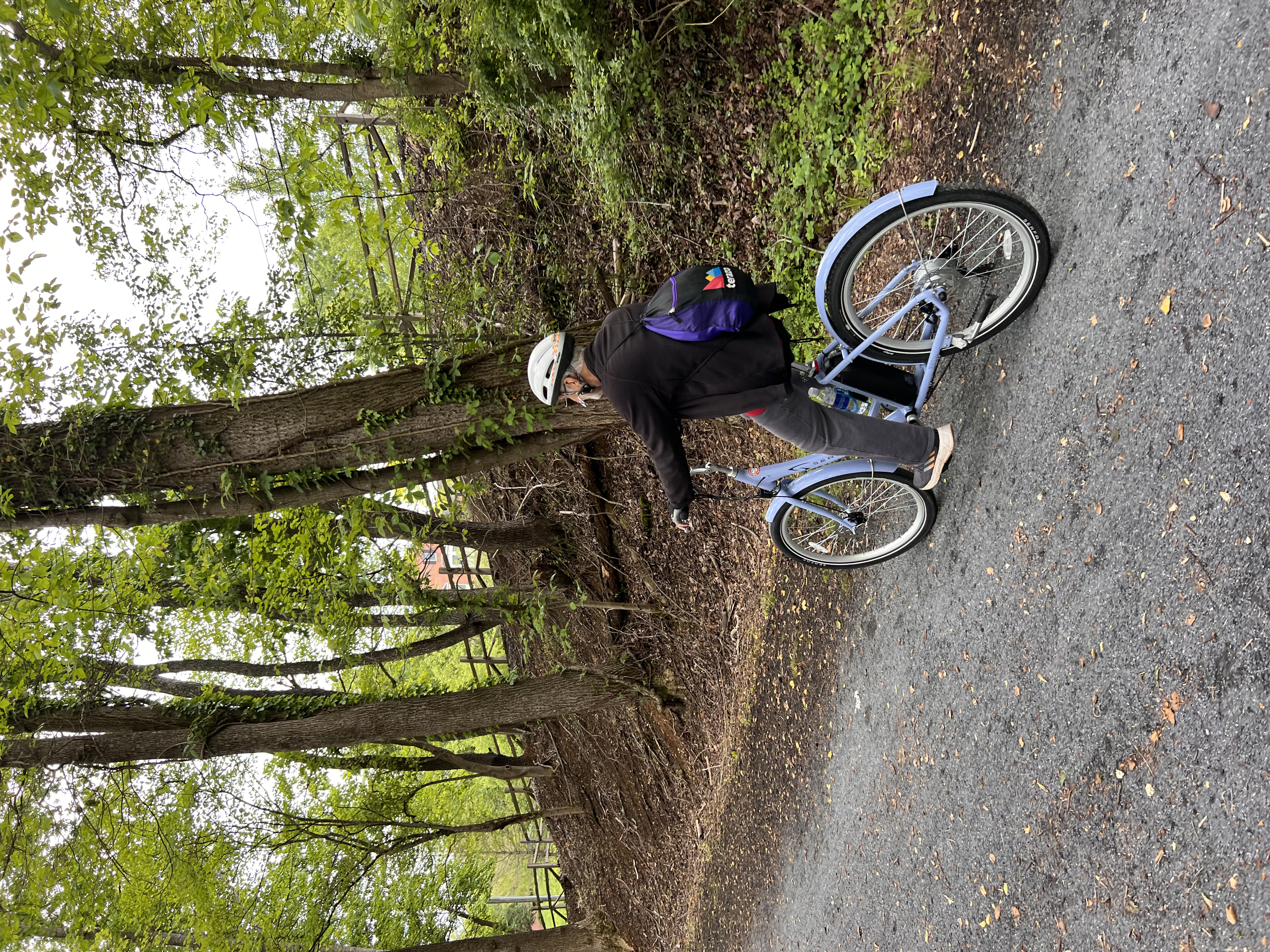 ./2025/04 - Virginia Creeper/IMG_0071.jpg